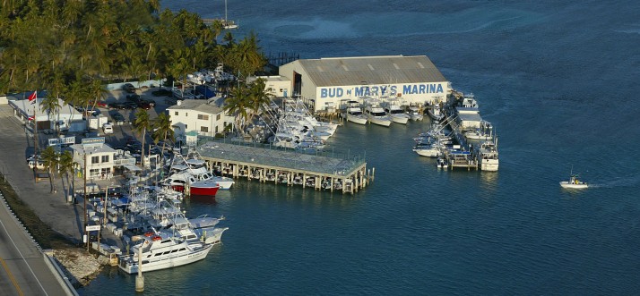 About Bud N Marys Islamorada, Florida Keys Fishing Marina - Bud N Marys  Islamorada Fishing Marina