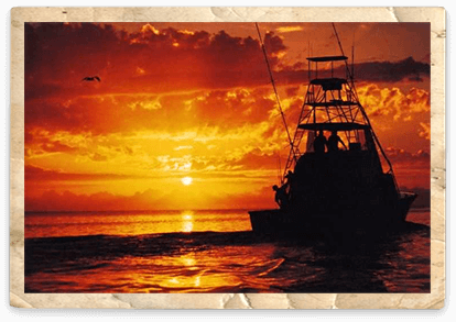 Download Islamorada Offshore Deep Sea Fishing Charters At Bud N Mary S Marinabud N Mary S Islamorada Fishing Marina