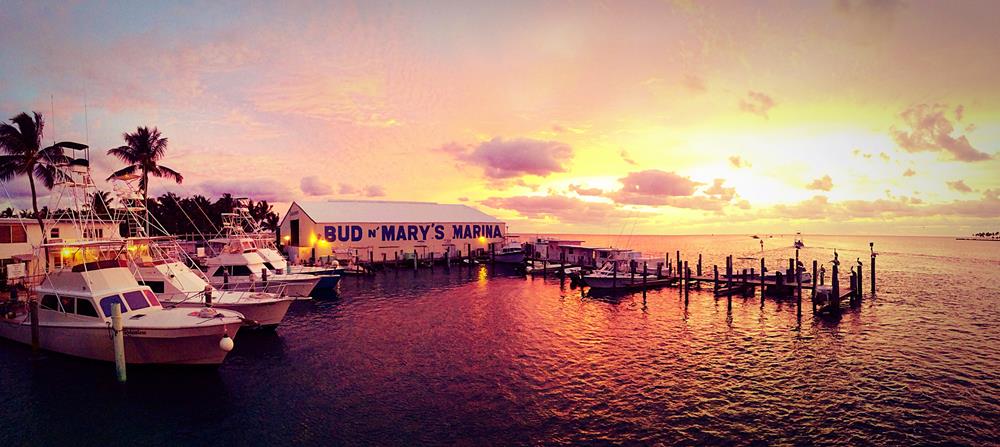 Florida Keys Bridge Fishing Information - Bud n' Mary's Islamorada