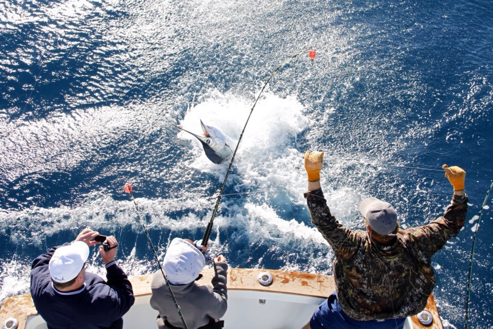 Marlin & Sailfish Fishing  Total Package Fishing Charters